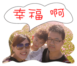 Little Peter 's Diary sticker #14591977