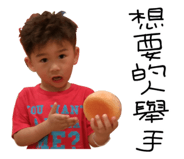 Little Peter 's Diary sticker #14591980