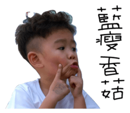 Little Peter 's Diary sticker #14591981