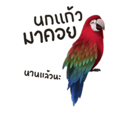 sudloknarak sticker #14593090