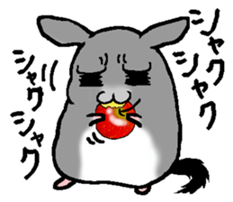 Chinchilla lanigera love sticker #14593408
