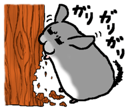 Chinchilla lanigera love sticker #14593409