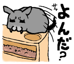 Chinchilla lanigera love sticker #14593411