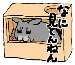 Chinchilla lanigera love sticker #14593412
