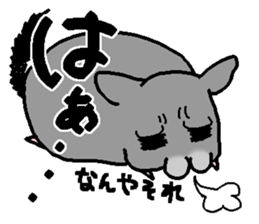 Chinchilla lanigera love sticker #14593413