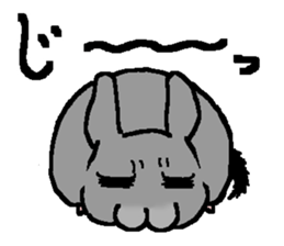 Chinchilla lanigera love sticker #14593414