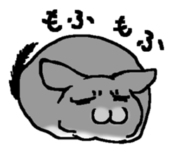 Chinchilla lanigera love sticker #14593417