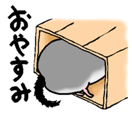 Chinchilla lanigera love sticker #14593423