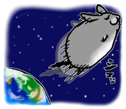 Chinchilla lanigera love sticker #14593424