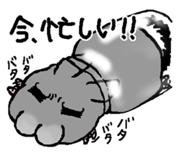 Chinchilla lanigera love sticker #14593425