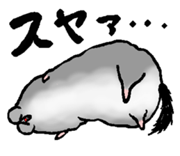 Chinchilla lanigera love sticker #14593426