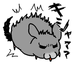 Chinchilla lanigera love sticker #14593429