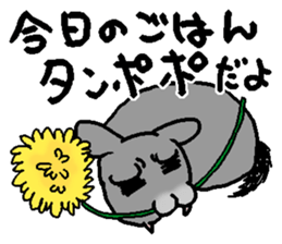 Chinchilla lanigera love sticker #14593433