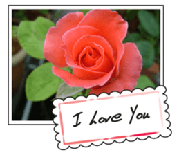 Greetings card with flowers photo sticker #14594430