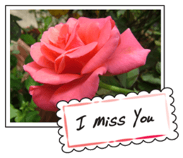 Greetings card with flowers photo sticker #14594432