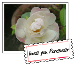 Greetings card with flowers photo sticker #14594433