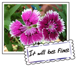 Greetings card with flowers photo sticker #14594434