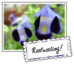 Greetings card with flowers photo sticker #14594438