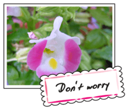 Greetings card with flowers photo sticker #14594440