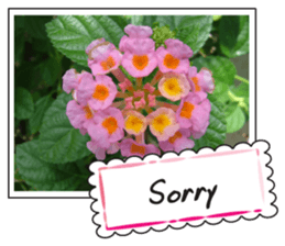 Greetings card with flowers photo sticker #14594444