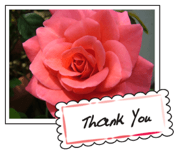 Greetings card with flowers photo sticker #14594445