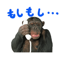 Chimpanzee Sticker4 sticker #14594447