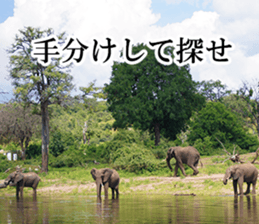 Wild elephant (South Africa) sticker #14594530