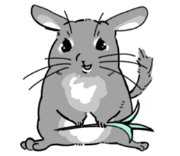 myCHINCHILLA sticker #14595046