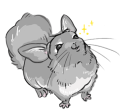 myCHINCHILLA sticker #14595048