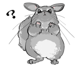 myCHINCHILLA sticker #14595049