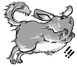 myCHINCHILLA sticker #14595050