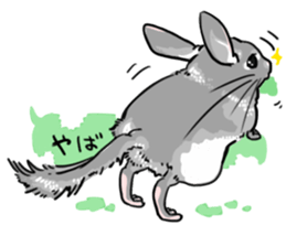myCHINCHILLA sticker #14595053