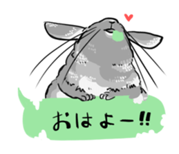 myCHINCHILLA sticker #14595055