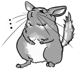 myCHINCHILLA sticker #14595056