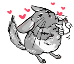 myCHINCHILLA sticker #14595057