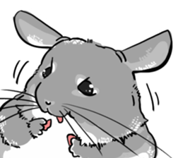myCHINCHILLA sticker #14595059