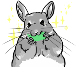 myCHINCHILLA sticker #14595060