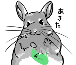 myCHINCHILLA sticker #14595061