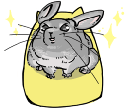 myCHINCHILLA sticker #14595063