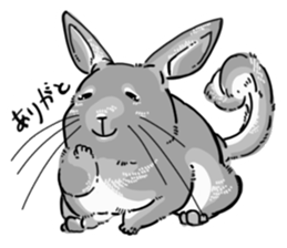myCHINCHILLA sticker #14595064