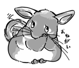 myCHINCHILLA sticker #14595065