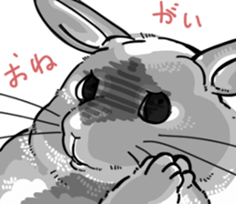 myCHINCHILLA sticker #14595066