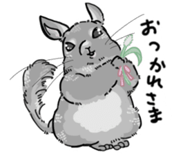 myCHINCHILLA sticker #14595067