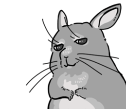 myCHINCHILLA sticker #14595068