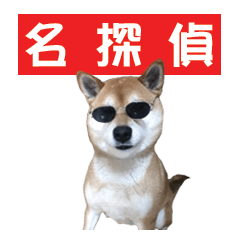 A-chan of Shibainu 7(Master detective)