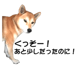 A-chan of Shibainu 7(Master detective) sticker #14597043