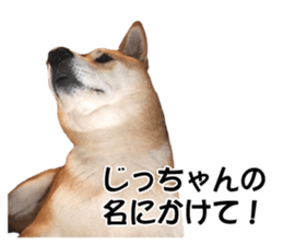 A-chan of Shibainu 7(Master detective) sticker #14597067