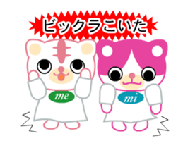 Sister cat of Mi and Me. sticker #14598749