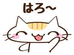 CHITCHI of a cat sticker #14598766