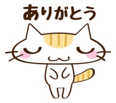 CHITCHI of a cat sticker #14598769